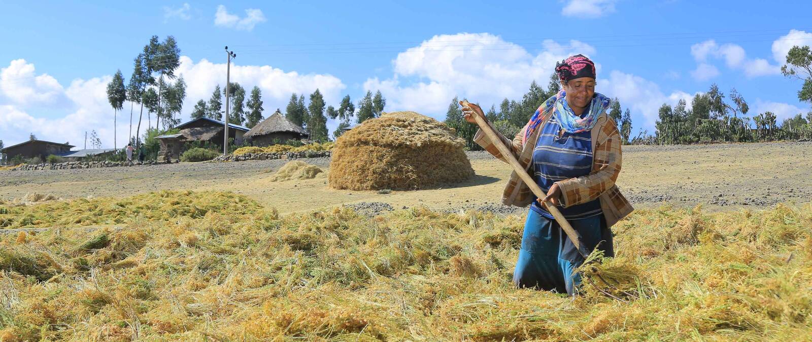 GENDER EQUITY IN BREEDING