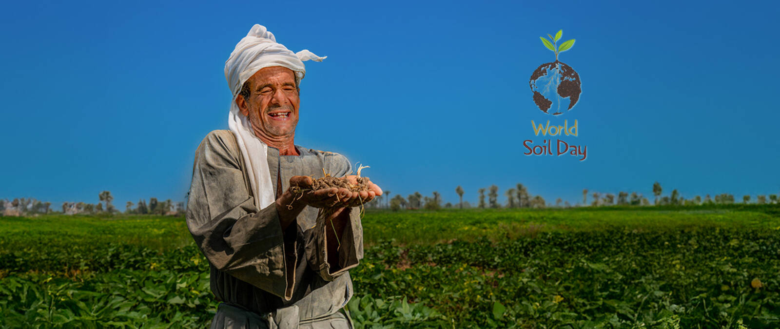 World Soil Day 2024