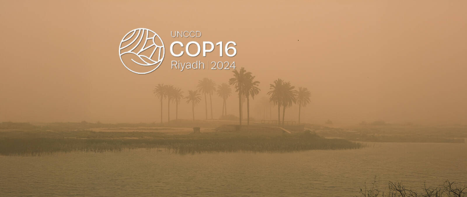 ICARDA at COP16