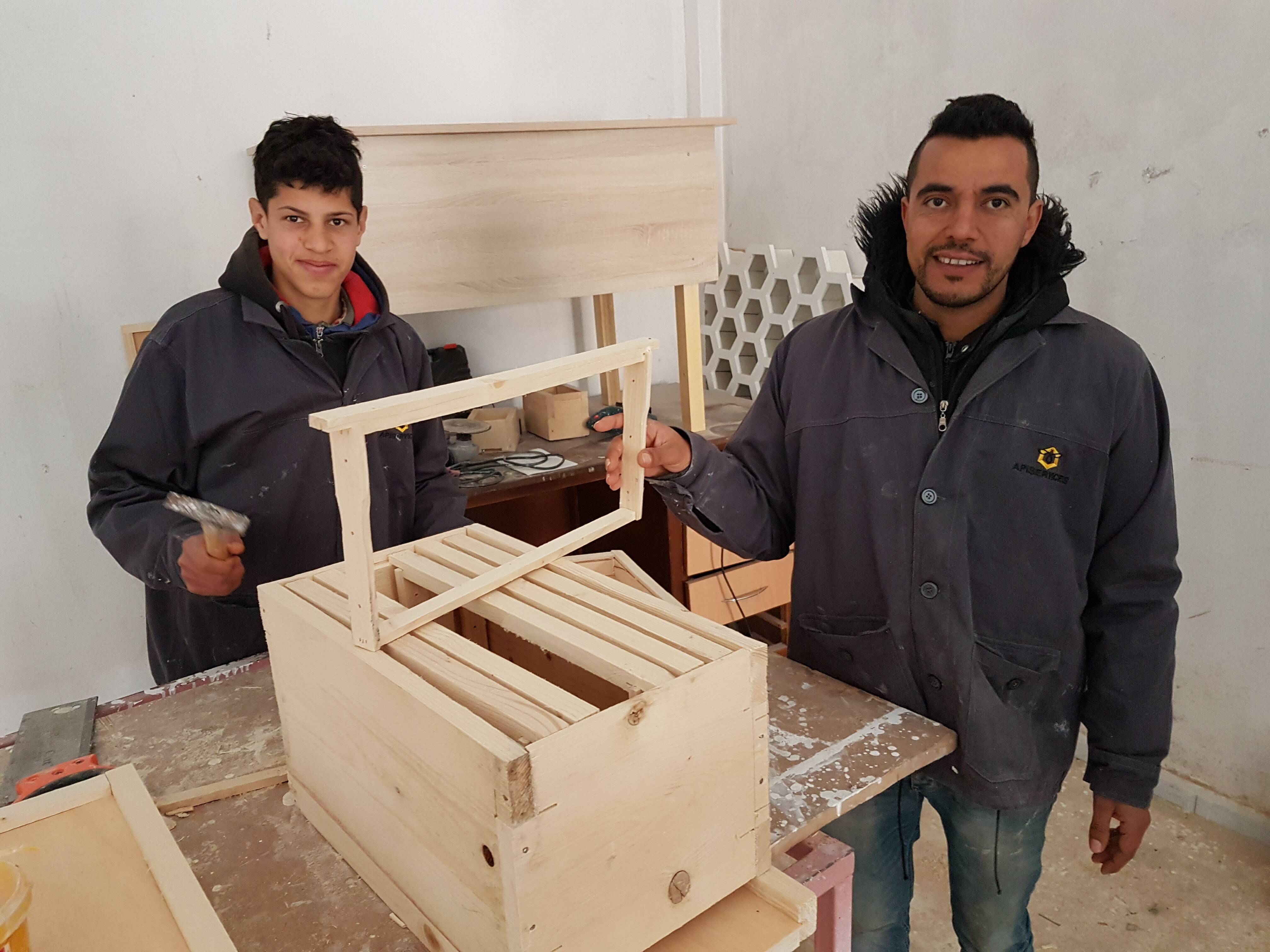 Beekeeping cooperative in Tunisia