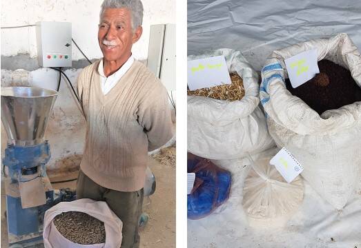 Food pellet machine Tunisia