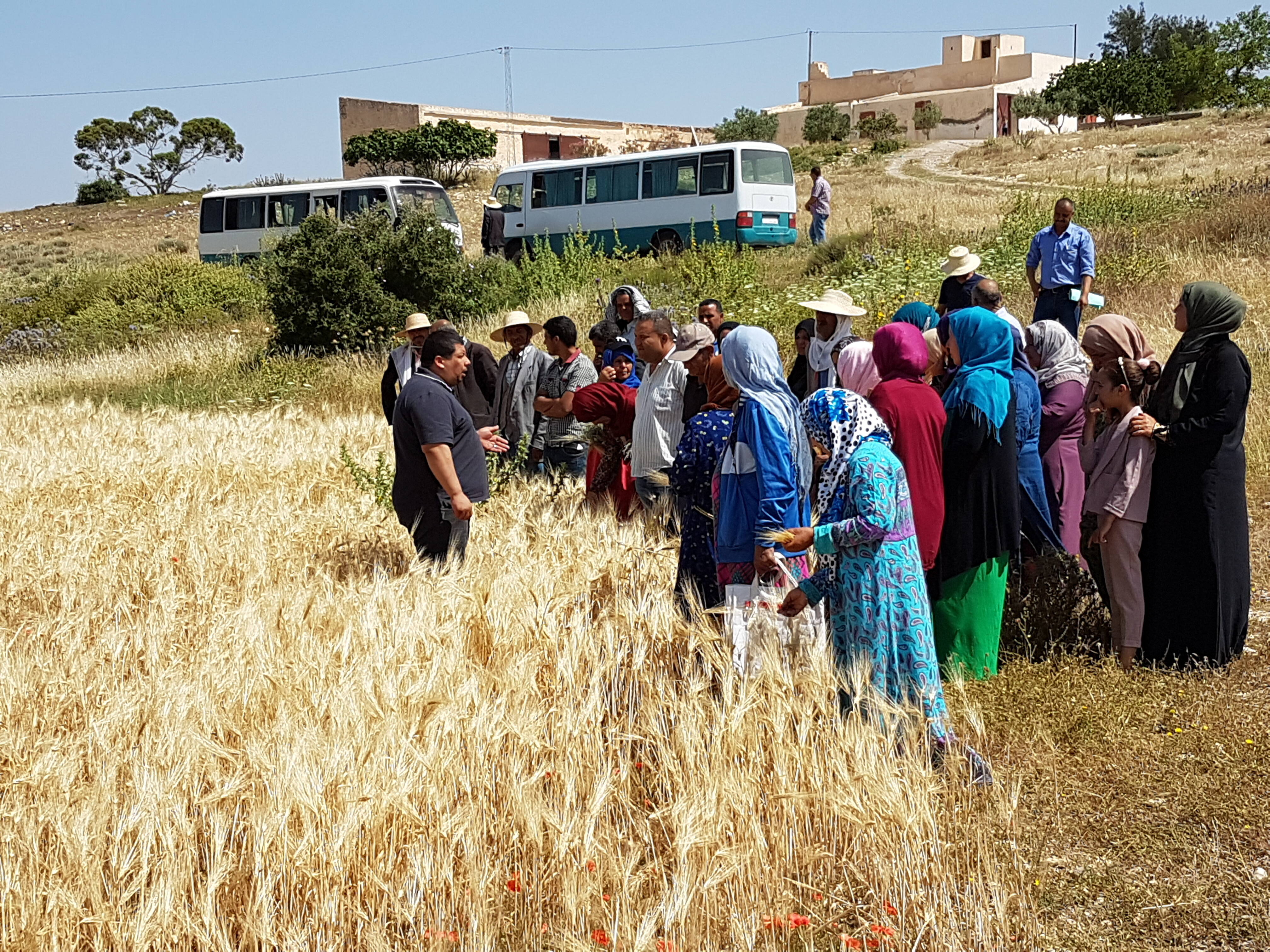 Female Empowerment training in Central Tunisia - credit: Udo Ruediger