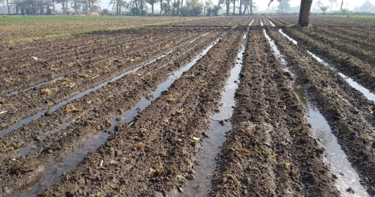 Water innovations that work ICARDA