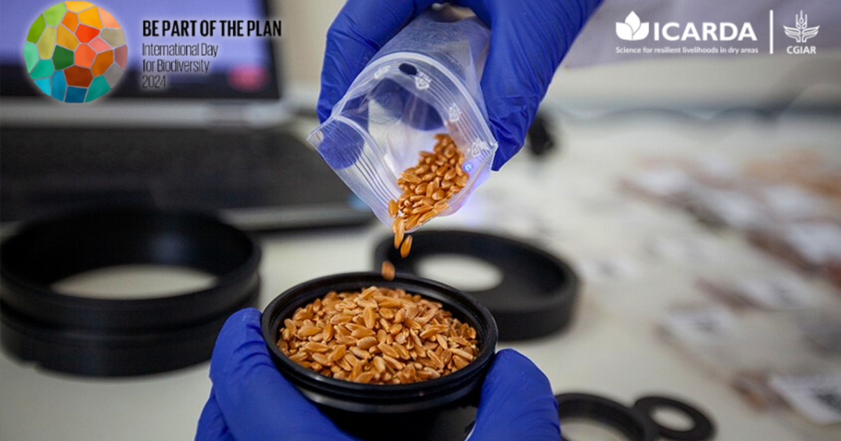 Unlocking The Potential Of Plant Genetic Resources With Genome Wide