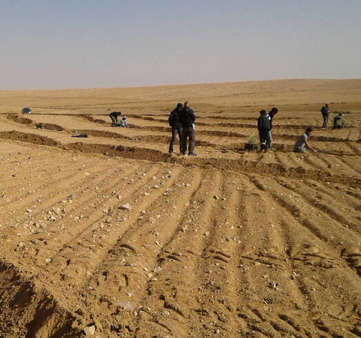 Recovering The Degraded Soils Of The Badia In Jordan